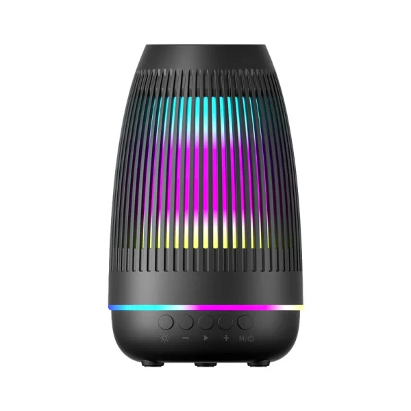 Speaker daymeg model t5